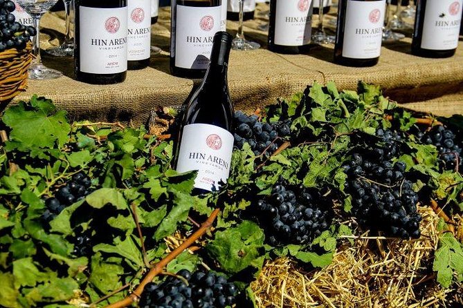1-Day tour to Aragatsotn Wine region and Wine Route. - Stop 2 at Van Ardi Winery: comparing styles without the hassle