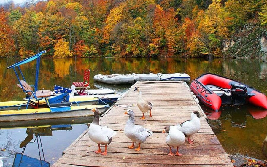 From Yerevan: Off-Road and Horseback Riding Adventure Tour - Lake Parz: spring-fed water, optional zipline, and a calmer pause