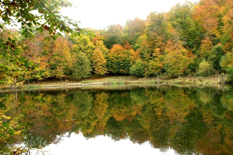 Group Tour: Dilijan, Parz Lake, Makaravank, wine factory - Key Points You Should Know Before You Go