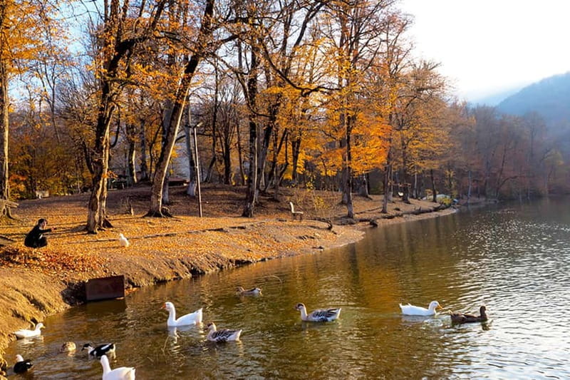 Group Tour: Dilijan, Parz Lake, Makaravank, wine factory - The Bakery Break: Small Reset, Big Help on a Long Day