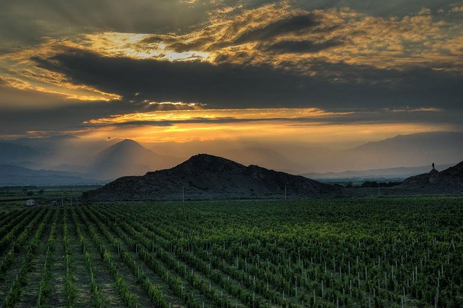 Group tour: Khor Virap, Noravank, Areni Winery and Cave - Hin Areni winery: what you get for the money, and what to taste