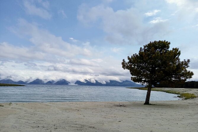 Lake Sevan: The Jewel of Armenia-Cultural and Culinary Experience - Key Highlights You’ll Actually Feel