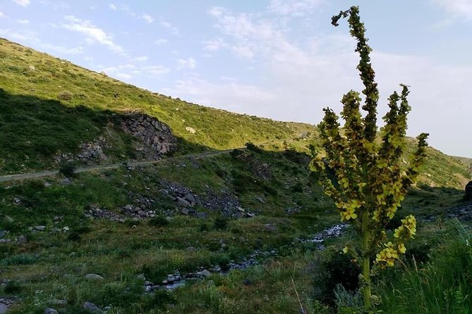 Mount Aragats, Amberd Fortress, Saghmosavank Monastery, Alphabet - private tour - Key Highlights You Can Plan Around