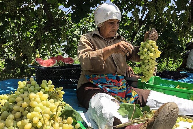 Private tour to Khor Virap, Ararat view - How Long You’ll Be Gone, and What That Means for Your Day in Yerevan