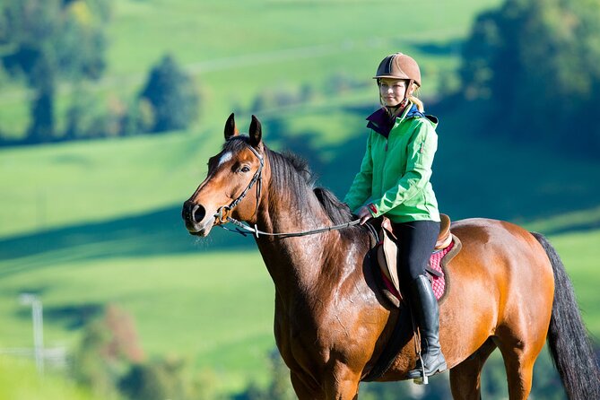 Private tour to Sevan, Dilijan Off-road tour & Horseback riding - How the 10-hour private route runs from Yerevan