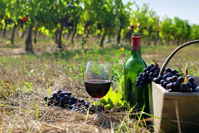 Private wine tour to Khor Virap, Areni winery, Noravank - Key things that make this tour worth your time