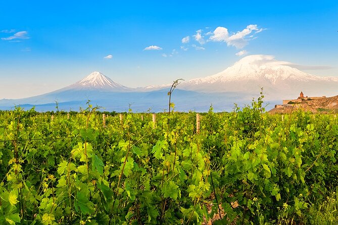 Tatev & Shaki Waterfall Guided Group Tour with Wine Tasting - Guides and drivers: fluent English help, plus real human backup