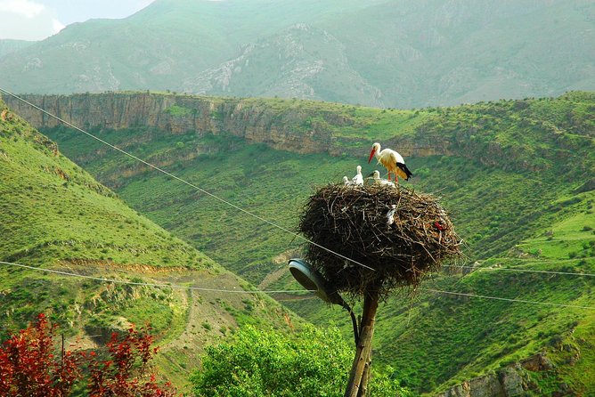 The Great Beauty of Armenia: 7-Day Culture and Cuisine Tour - Cable car to Tatev and the Armenian Stonehenge, plus a swinging bridge cave town