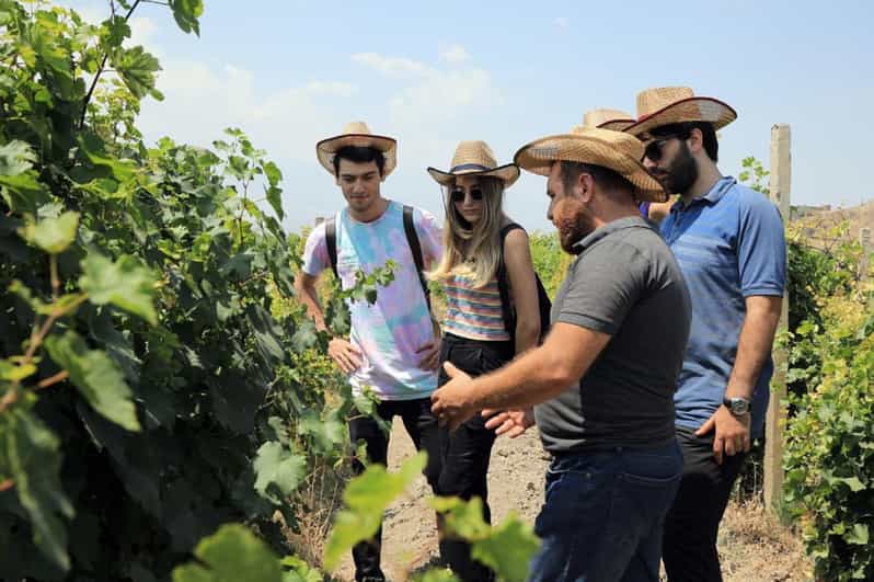 Yerevan: Khor Virap Day Trip with Mount Ararat Wine Tasting - Khor Virap: A Monastery Stop Built Around Big Views