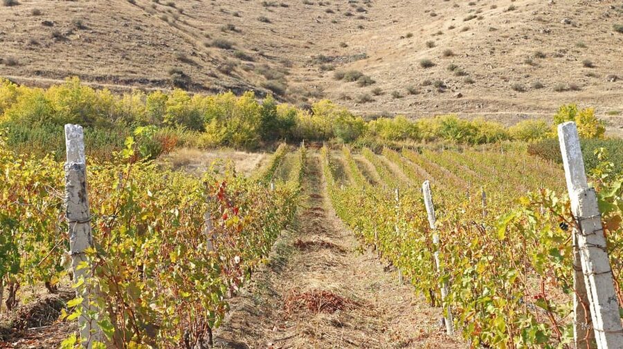 Yerevan: Khor Virap Day Trip with Mount Ararat Wine Tasting - What’s Included, and Why That Changes the Value