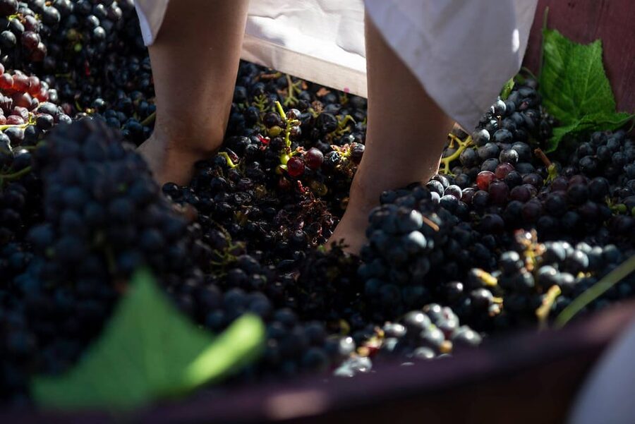 Yerevan: Khor Virap Day Trip with Mount Ararat Wine Tasting - The Easy Rhythm: Private Transportation, Clear Timing, No Fuss